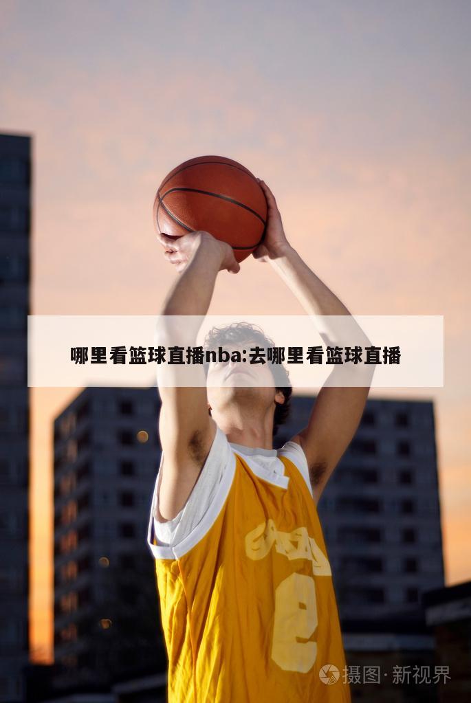 哪里看篮球直播nba:去哪里看篮球直播